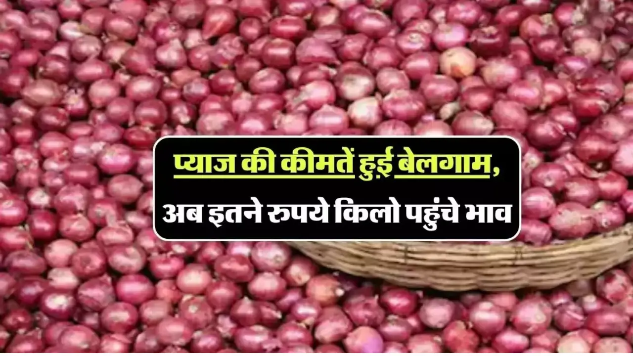 Onion Price Hike